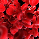 płytki krwi trombocyty