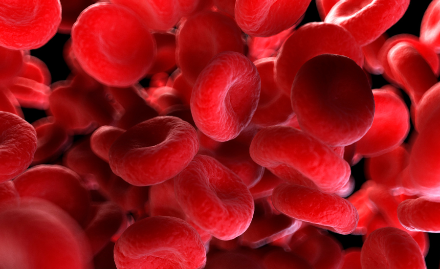 płytki krwi trombocyty