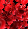 płytki krwi trombocyty